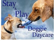 Stay&Play doggy daycare