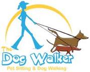 PROFESSIONAL DOG WALKER/PET SITTER/DRIVER