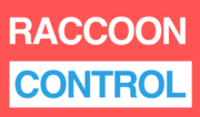 Raccoon Control Toronto